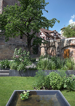 Picture: Maria Sibylla Merian Garden